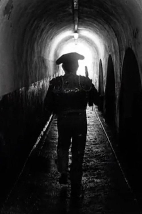 Arrabal et les Garçons (2011) poster