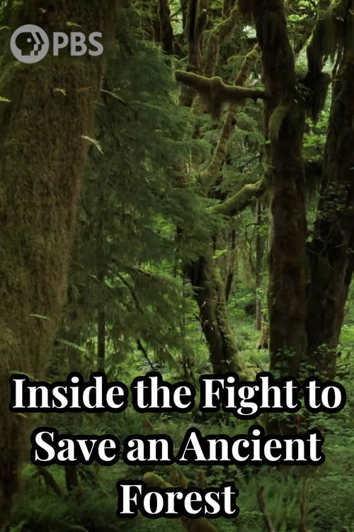 Inside the Fight to Save an Ancient Forest (and the Secrets it Holds) (2021) poster