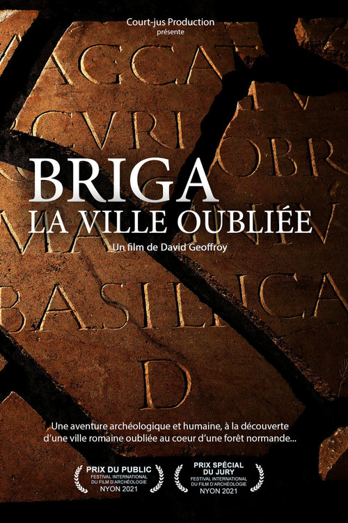 Briga, la ville oubliée (2020) poster