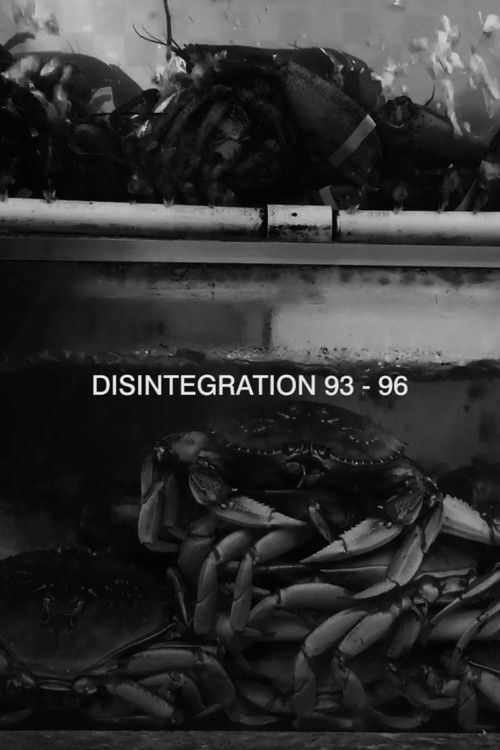 Disintegration 93-96 (2017) poster