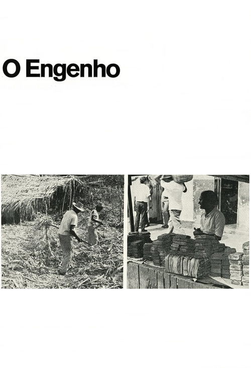 O Engenho (1970) poster