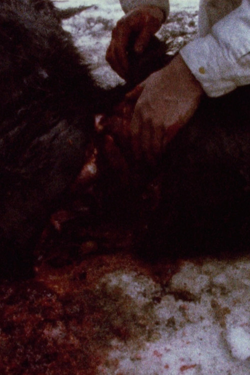 Pan 697 (1974) poster