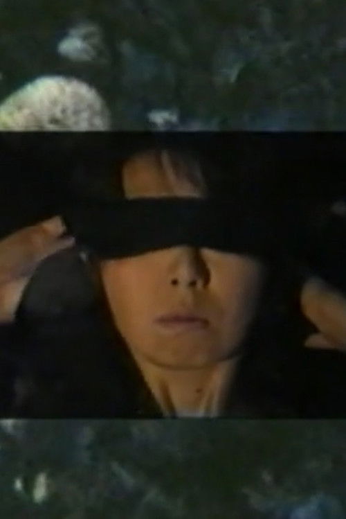 The Leap (No Leap) (1992) poster