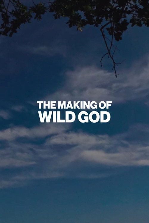 The Making of Wild God (2024) poster