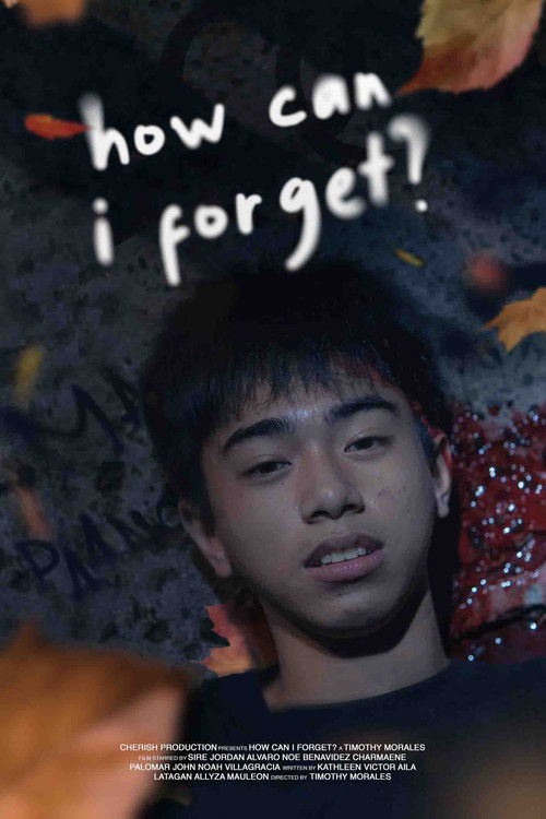 How Can I Forget? (2022) poster