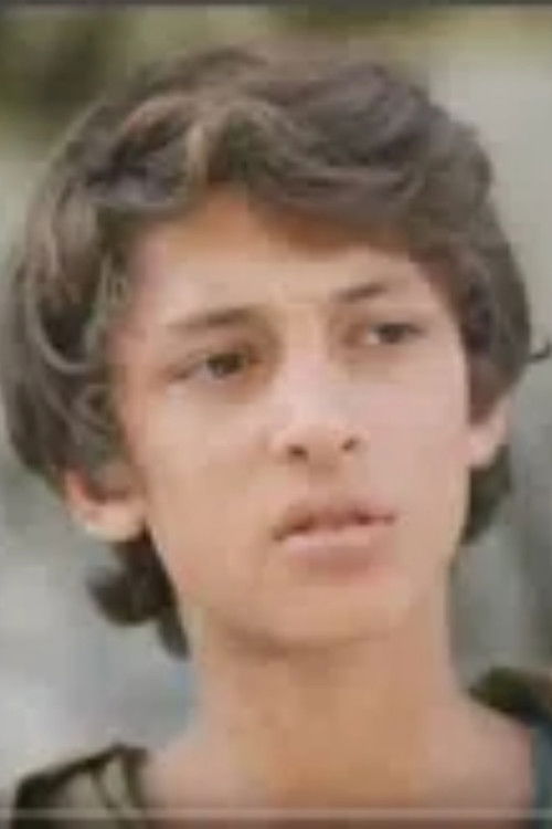 ნიკა მთაში (1979) poster