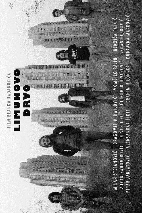 Lemon Tree (2015) poster