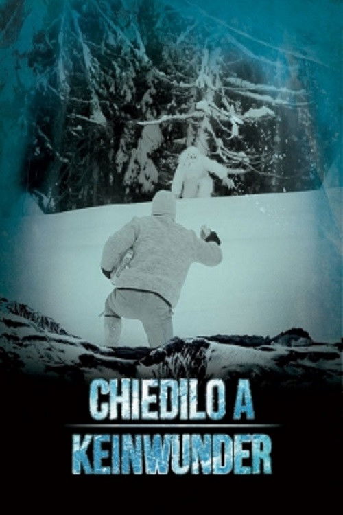 Chiedilo a Keinwunder (2014) poster