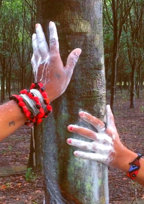 Nakua Pewerewerekae Jawabelia / Até o fim do mundo (2018) poster