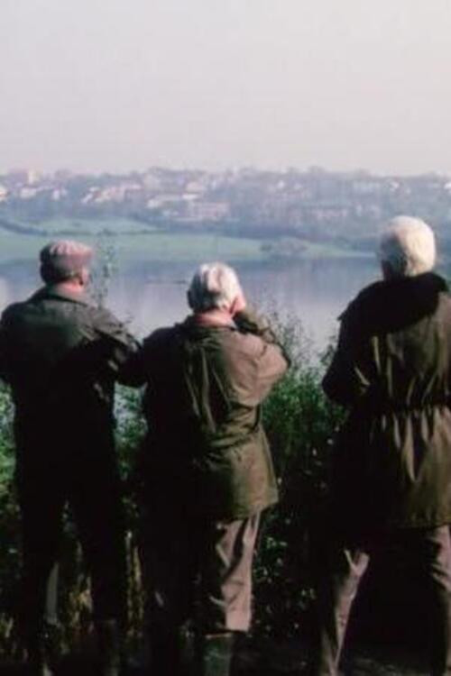 Review 34th Year No. 7 (1981) poster