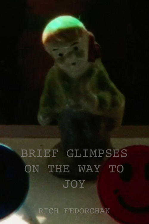 Brief Glimpses on the Way to Joy (Part 1) (2020) poster