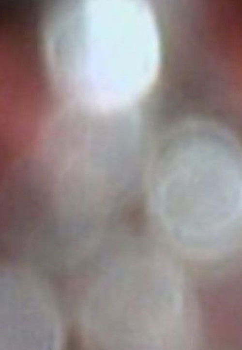 I turn over the pictures of my voice in my head (2009) poster