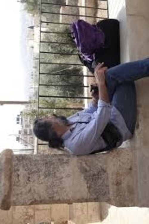 Quiver of a Branch in the Wind (1988) poster