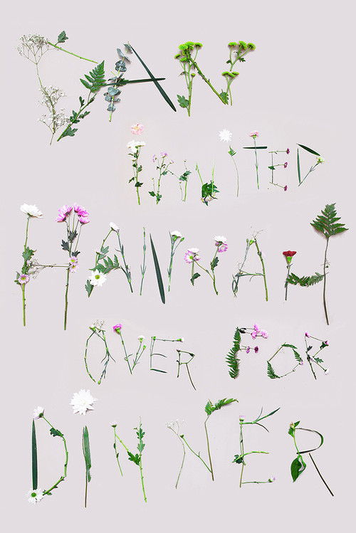 Dan Invited Hannah over for Dinner (2012) poster