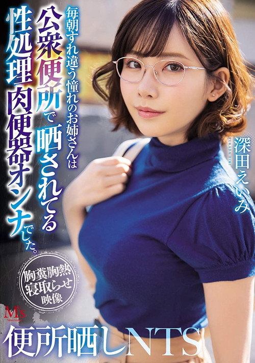 便所晒しNTS 毎朝すれ違う憧れのお姉さんは公衆便所で晒されてる性処理肉便器オンナでした。 (2020) poster