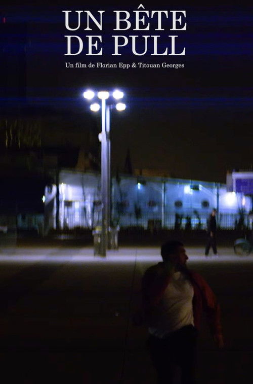 Un Bête de Pull (2023) poster