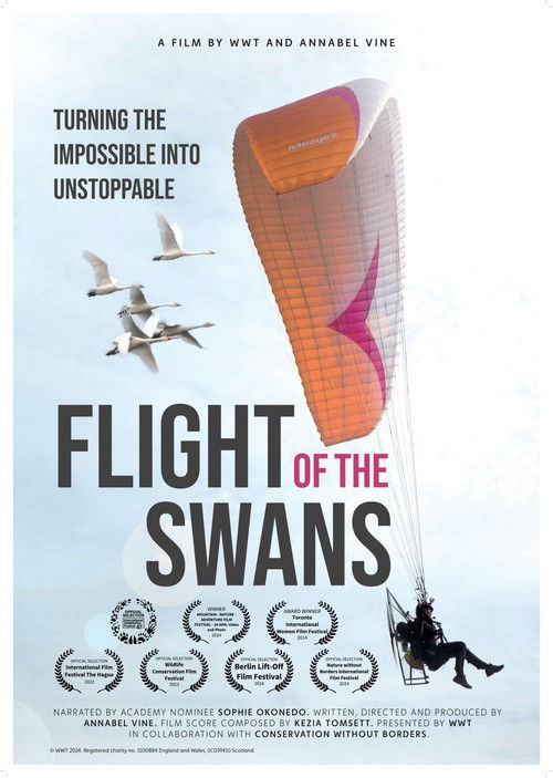 Flight of the Swans (2024) poster