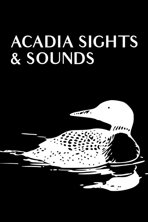 Acadia Sights & Sounds (2009) poster
