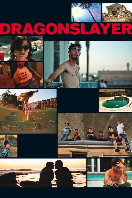 Dragonslayer (2011) poster