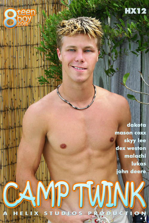 Camp Twink (2005) poster