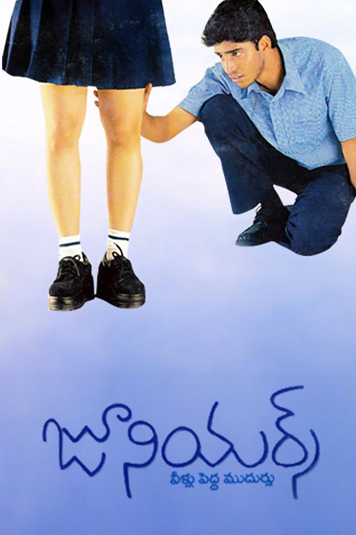 Juniors (2003) poster