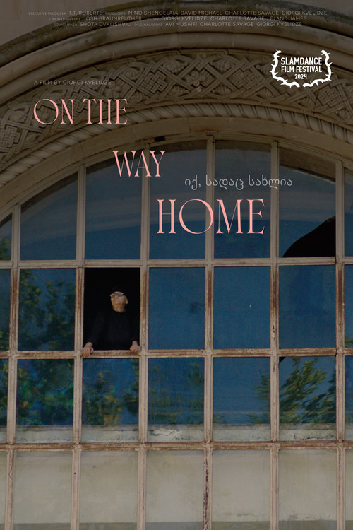 იქ, სადაც სახლია (2024) poster