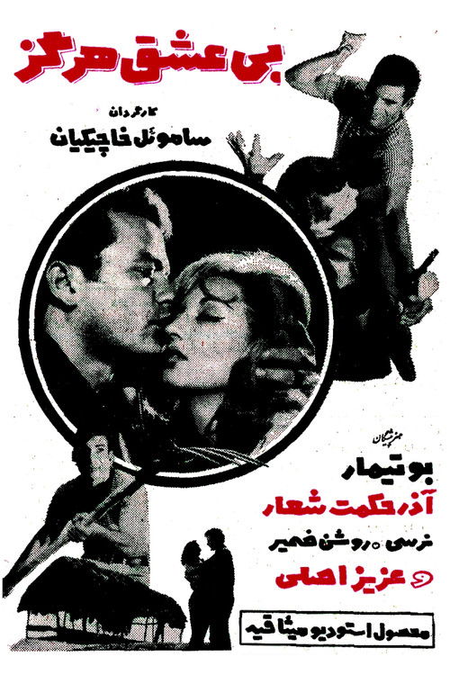 بی عشق هرگز (1966) poster