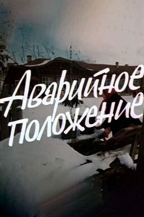 Аварийное положение (1973) poster