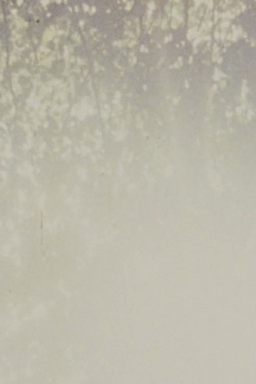 D'étranges vues et de joyeux vestiges (2018) poster