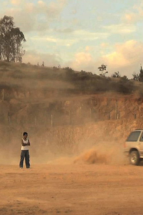 Family Effects (2007) poster