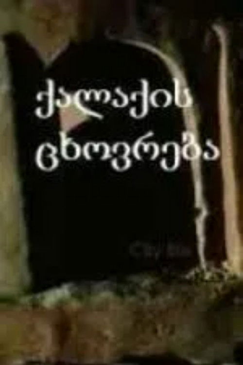 ქალაქის ცხოვრება (1988) poster