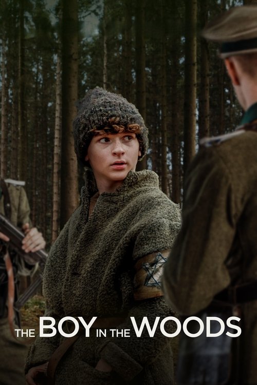 The Boy in the Woods (2023) poster