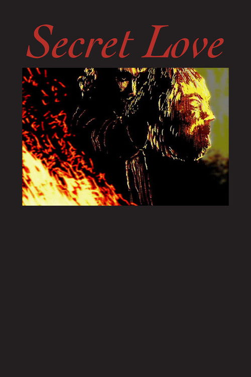 Secret Love (2003) poster