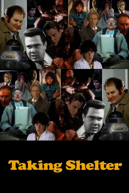 Taking Shelter (2014) poster