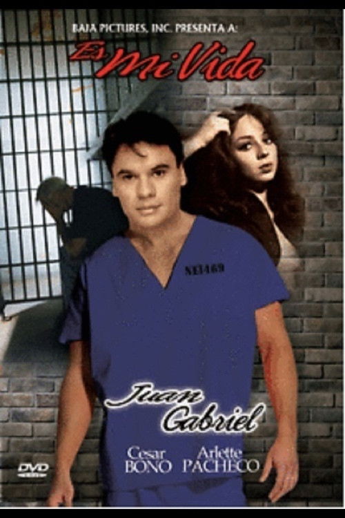 Es mi vida (1982) poster