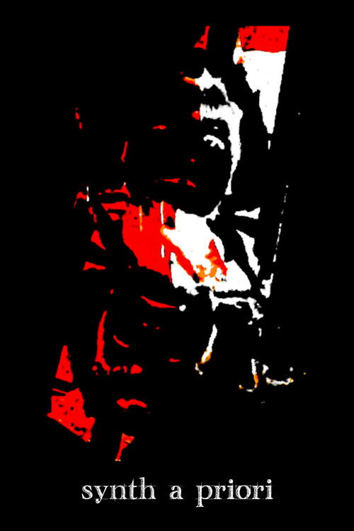 Synth a Priori (2018) poster