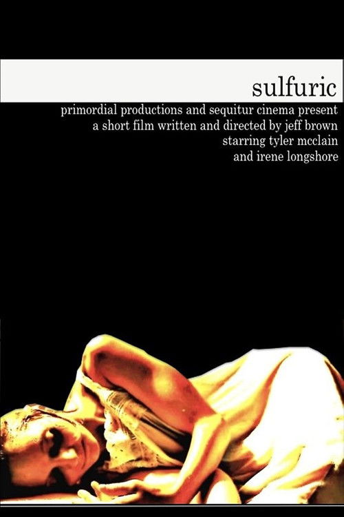 Sulfuric (2013) poster