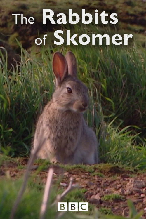 The Rabbits of Skomer (2006) poster