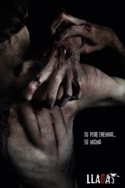 Llagas (2012) poster