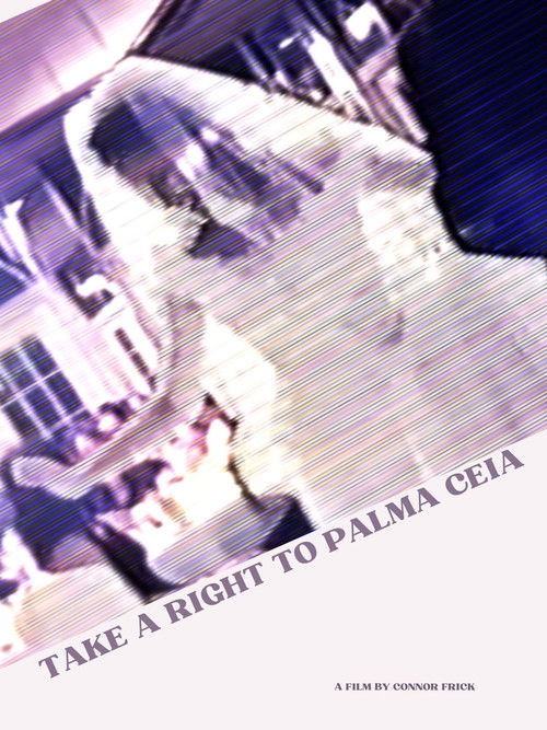 Take a Right to Palma Ceia (2023) poster