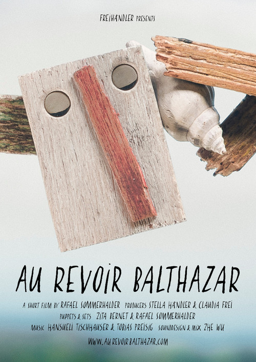 Goodbye Balthazar (2016) poster