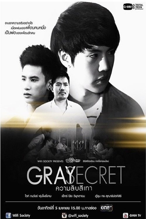 Wifi Society: Gray Secret (2015) poster