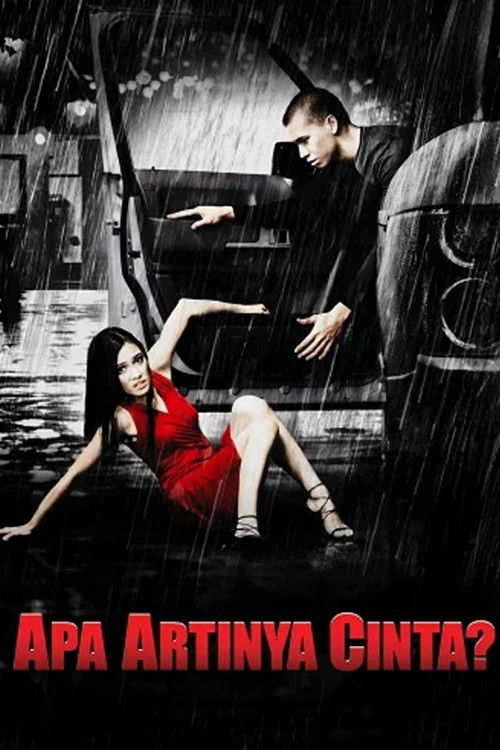 Apa Artinya Cinta? (2005) poster
