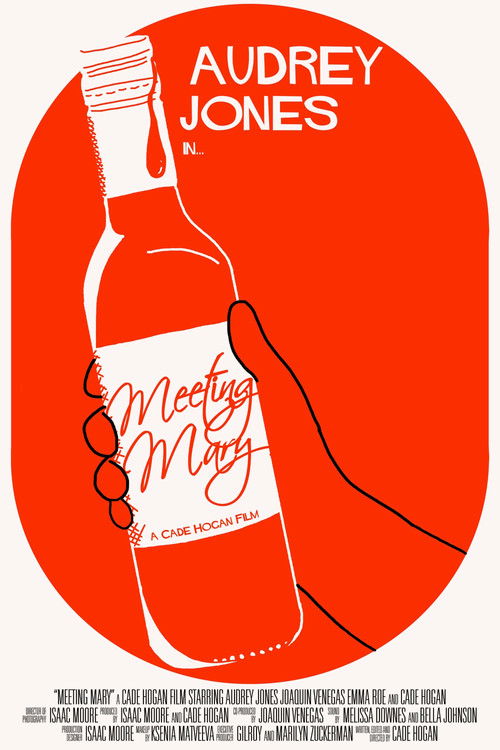 Meeting Mary (2024) poster
