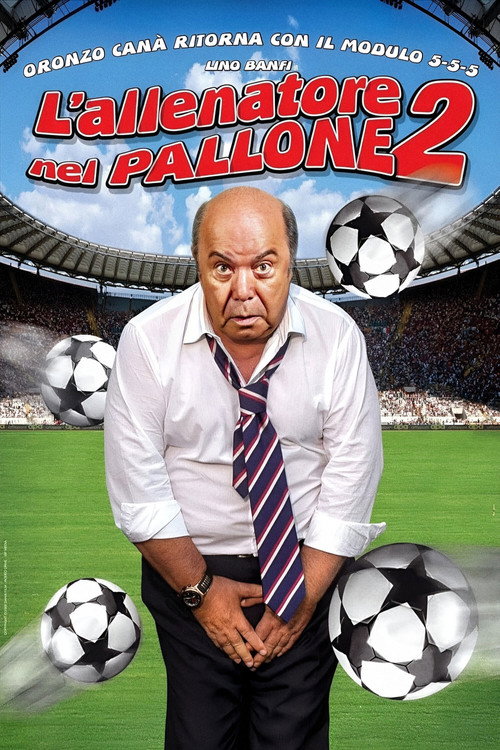 L'allenatore nel pallone 2 (2008) poster