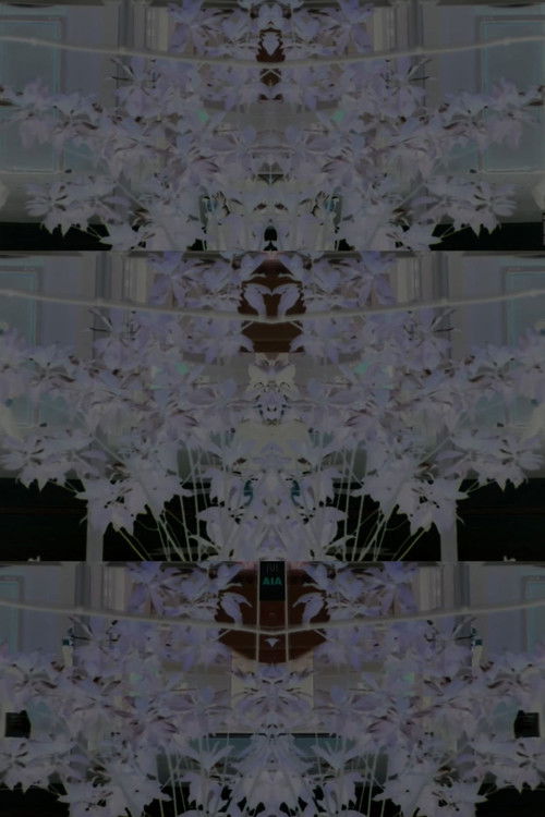 Avenida de América (2024) poster