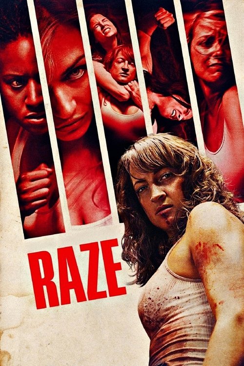 Raze (2013) poster