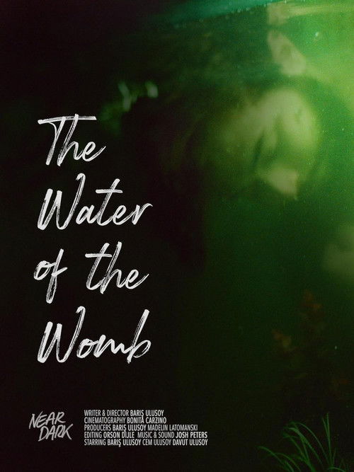 The Water Of The Womb (2025) poster