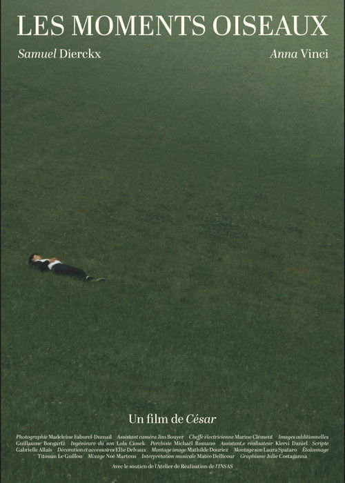 Les Moments Oiseaux (2026) poster