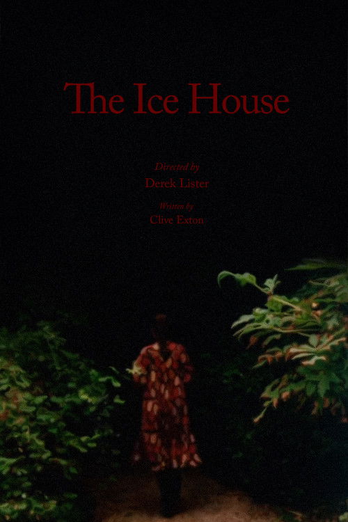 The Ice House (1978) poster